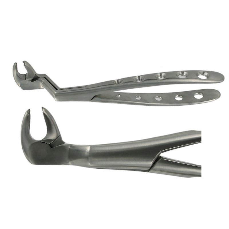 ENGLISH FORCEPS 22 1/2L LOWER