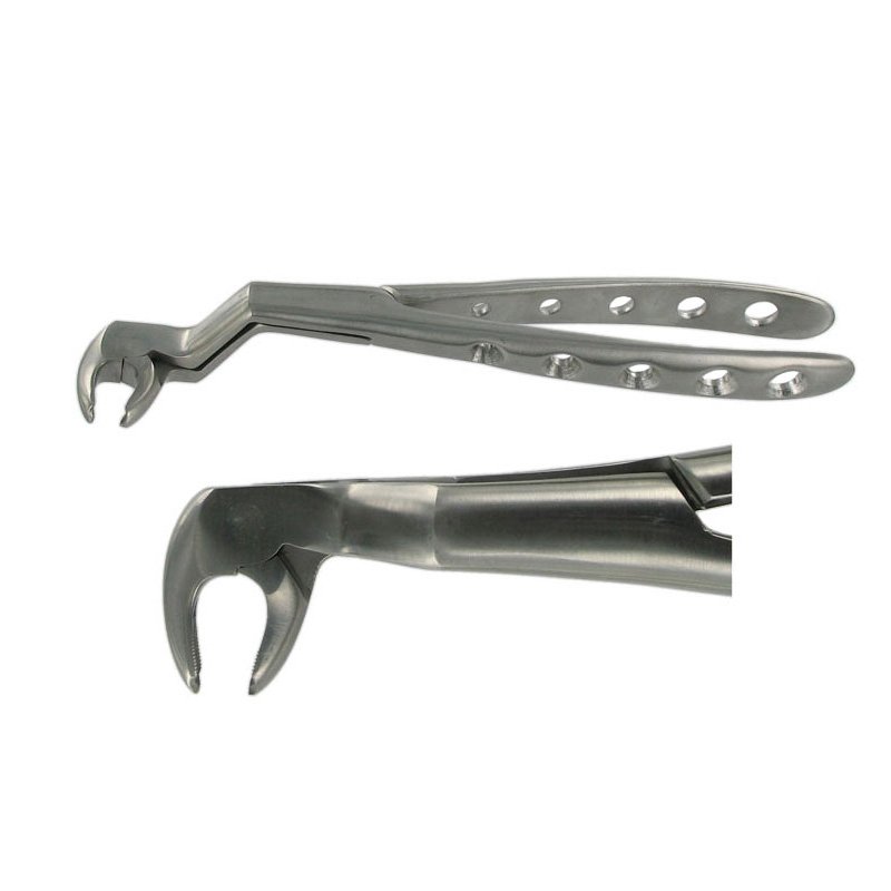 ENGLISH FORCEPS 22 1/2R LOWER